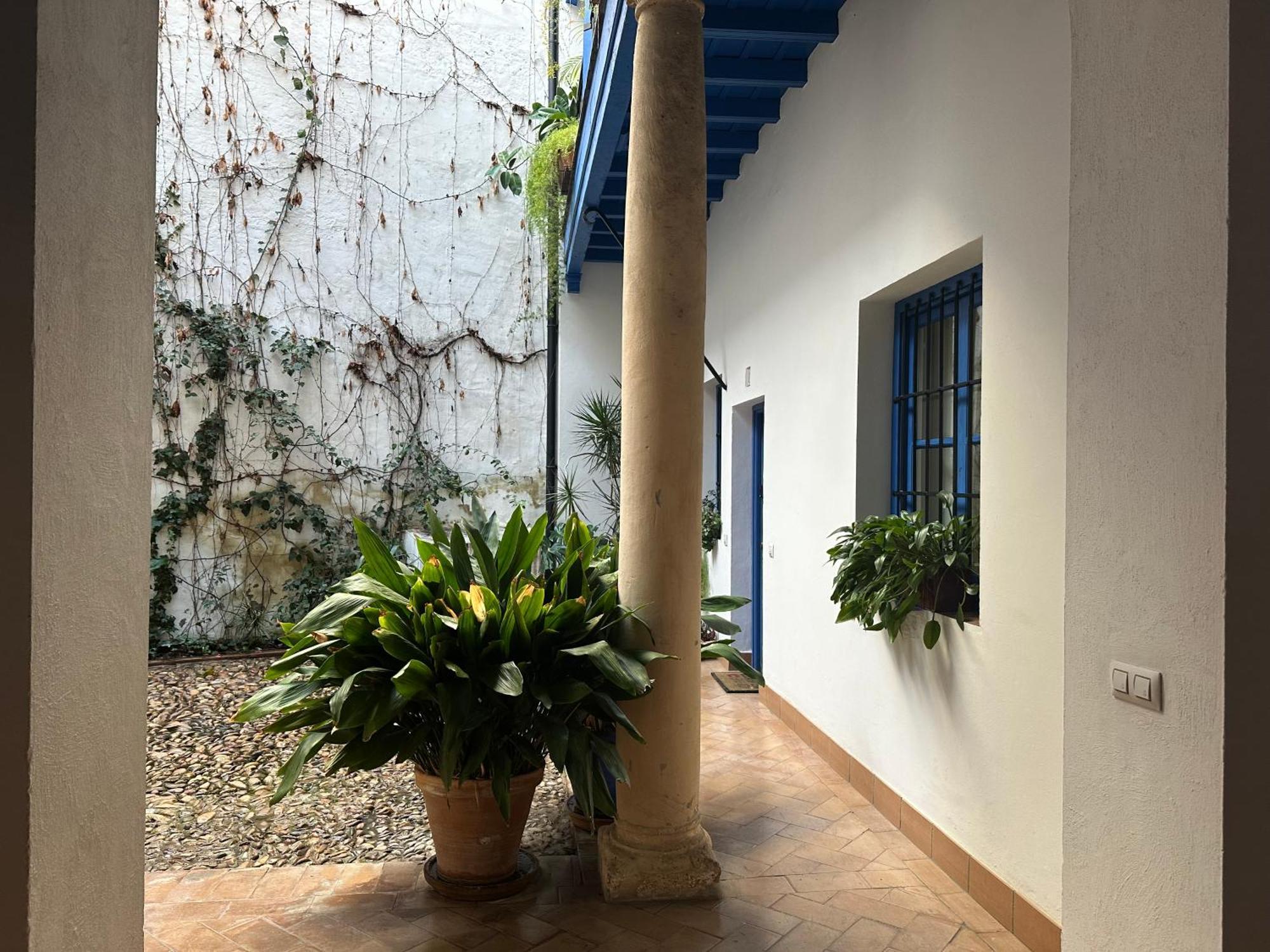 Apartamento Vidrio 30-32 Sevilla Exterior foto